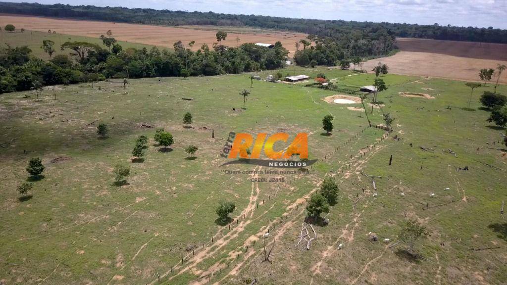 Fazenda à venda com 4 quartos, 1400000M2 - Foto 11