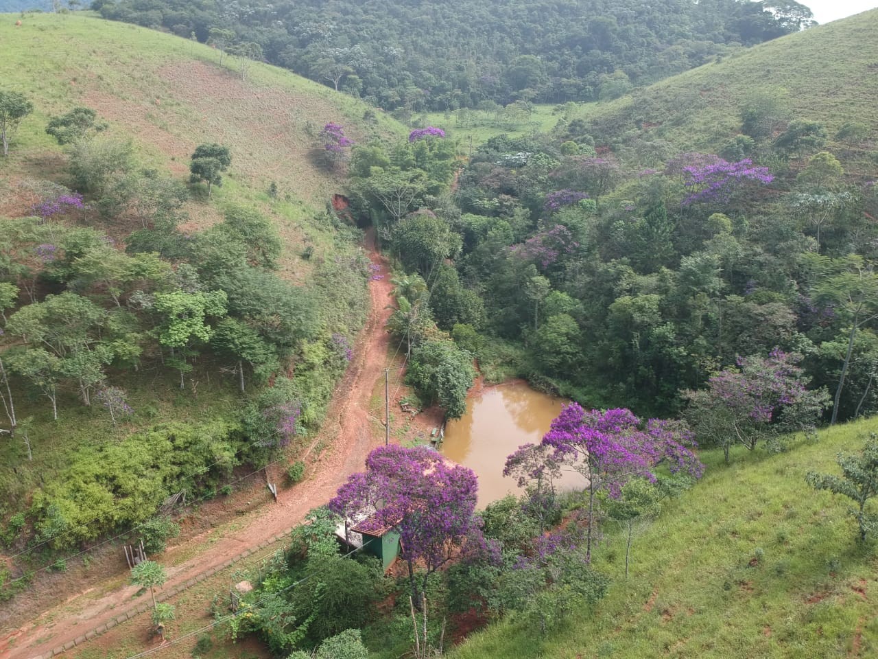 Terreno, 7 hectares - Foto 17