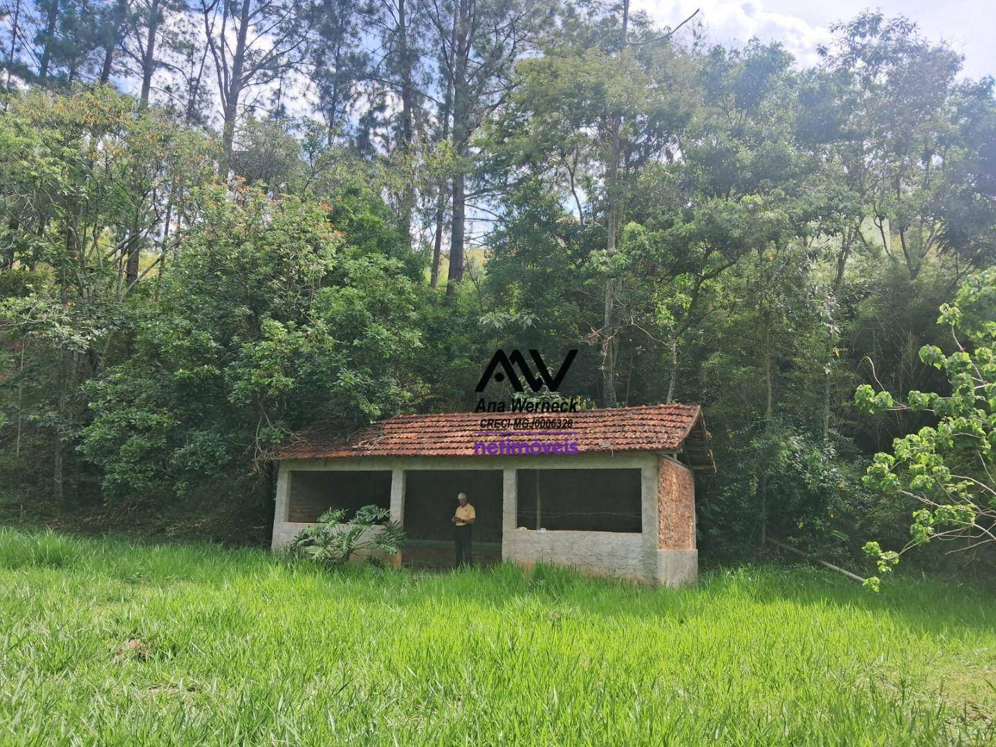 Sítio, 35 hectares - Foto 3