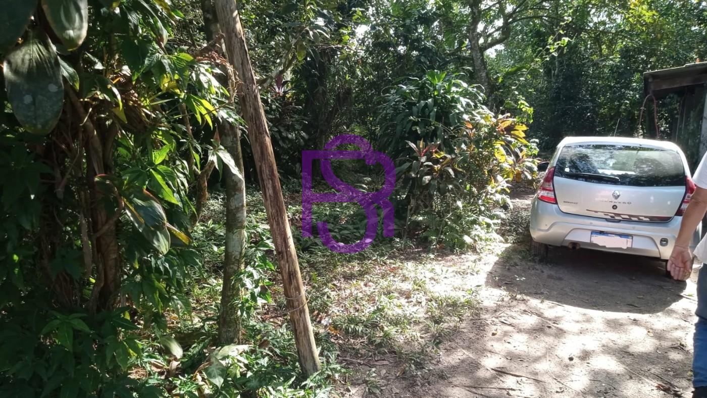 Chácara, 3 quartos, 1495 m² - Foto 20