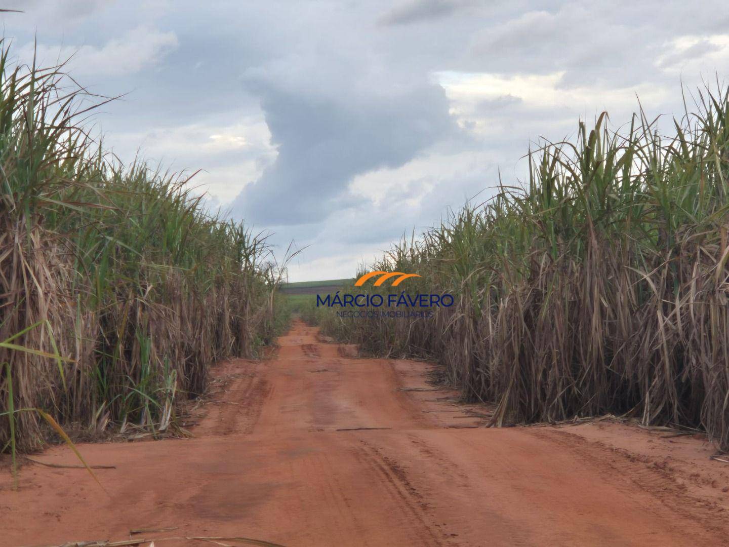 Fazenda, 702 hectares - Foto 1