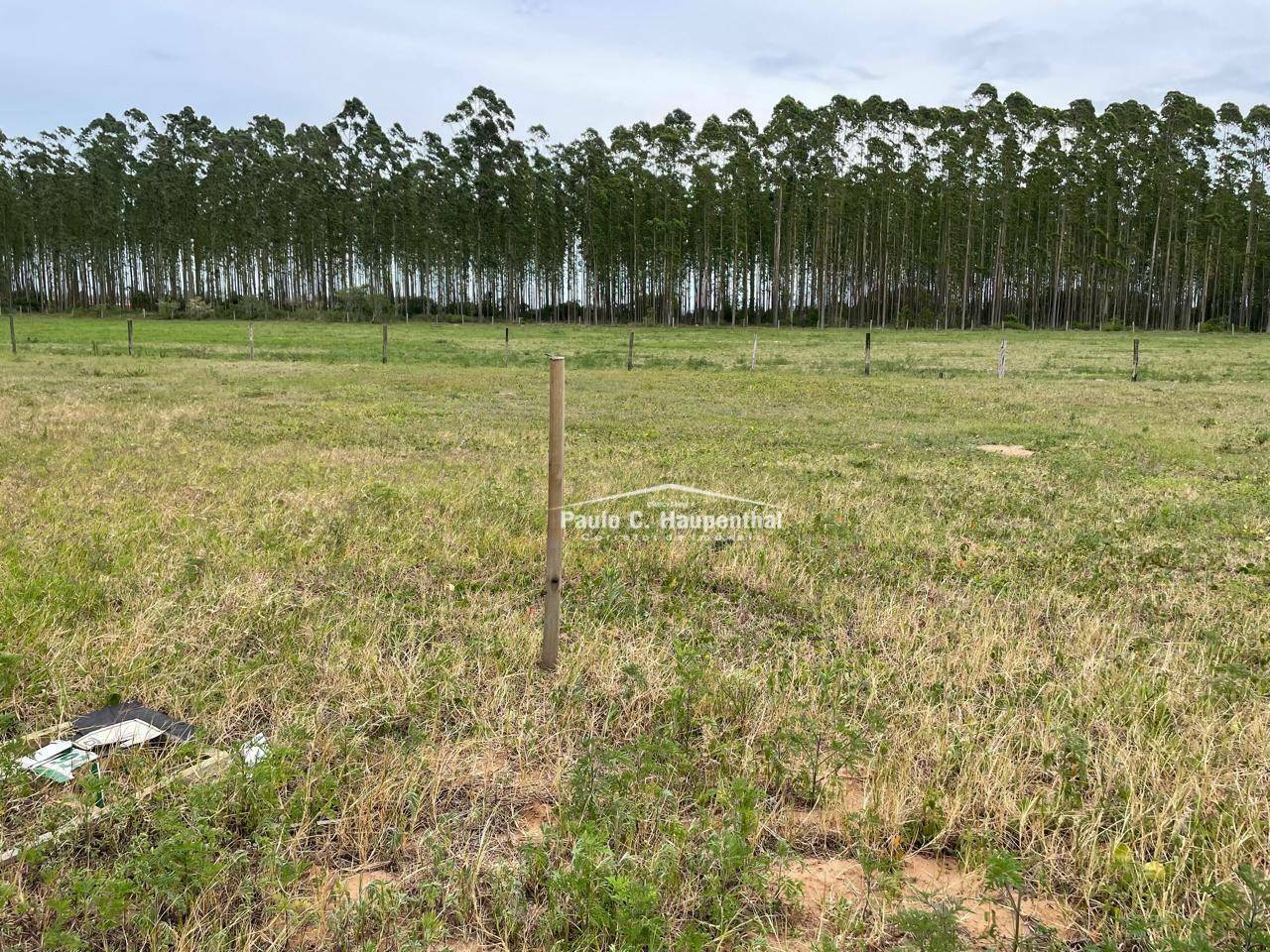 Terreno à venda, 340M2 - Foto 4