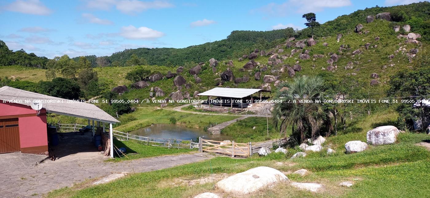 Fazenda à venda com 2 quartos, 600000m² - Foto 26