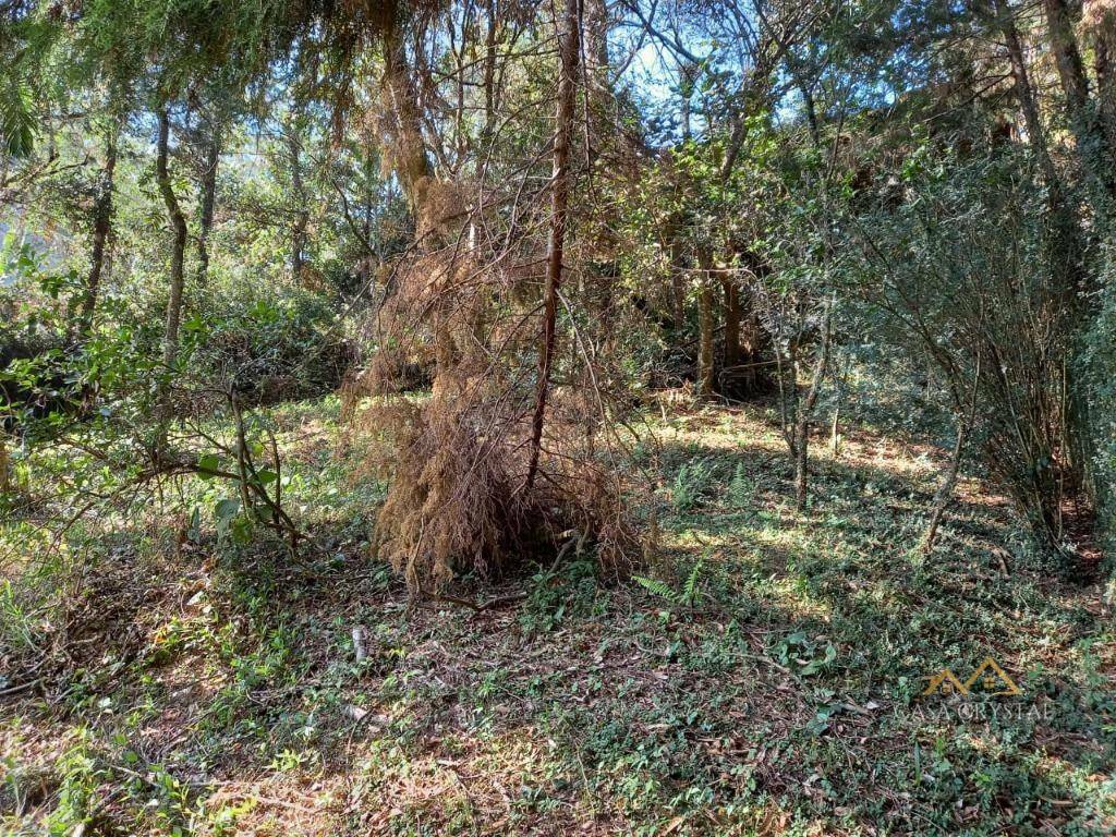 Loteamento e Condomínio à venda, 1000M2 - Foto 3