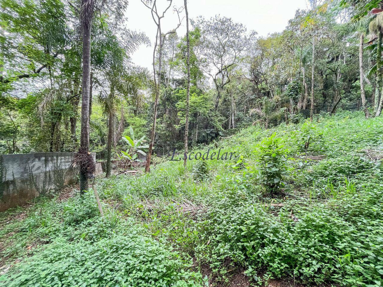 Loteamento e Condomínio à venda, 1000M2 - Foto 7