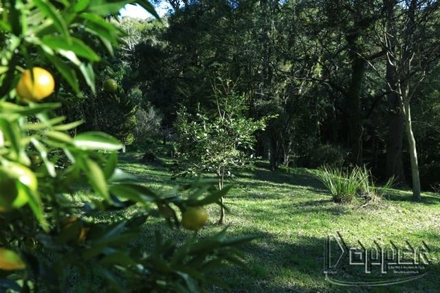 Terreno à venda - Foto 10