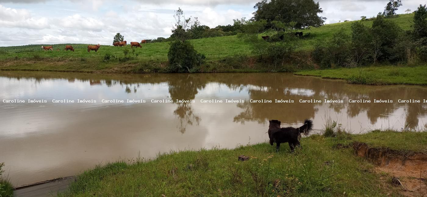 Sítio à venda com 2 quartos, 220000m² - Foto 1