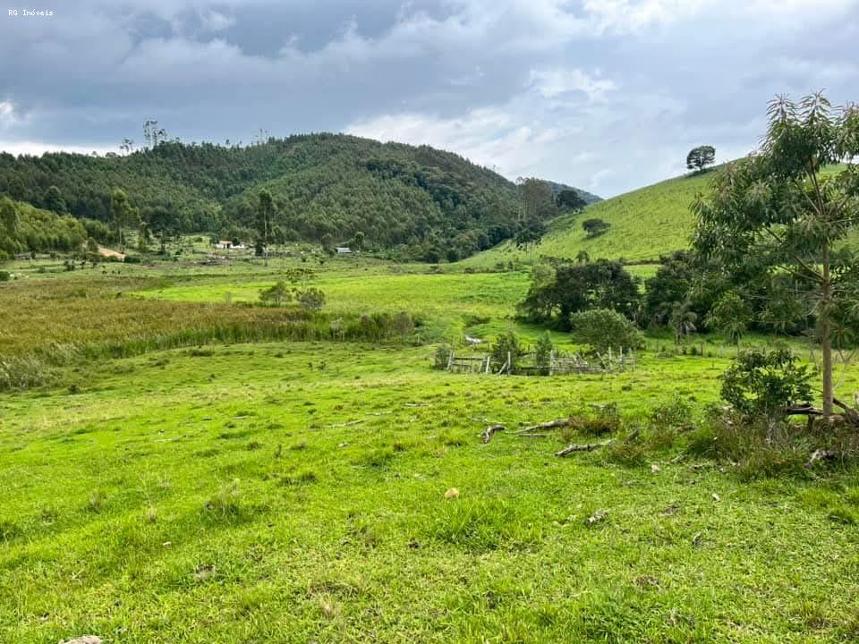 Sítio à venda com 2 quartos, 726000m² - Foto 2