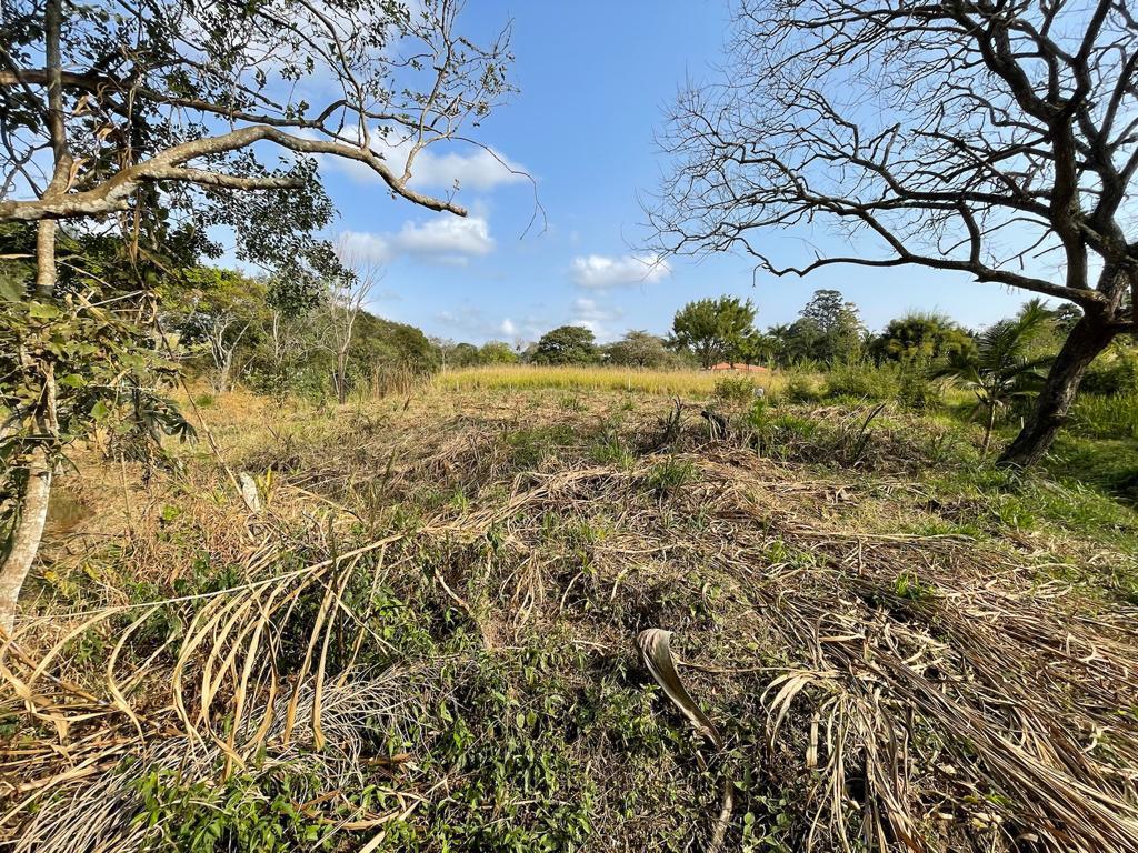 Fazenda à venda com 4 quartos, 15000m² - Foto 5