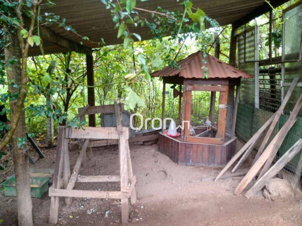 Chácara à venda com 3 quartos, 4000M2 - Foto 3