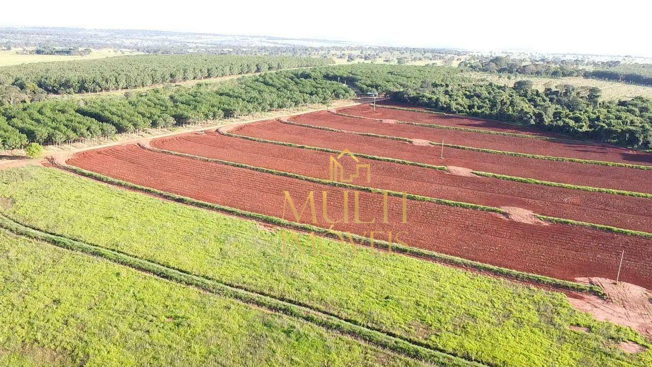 Fazenda à venda com 2 quartos, 6460000M2 - Foto 2