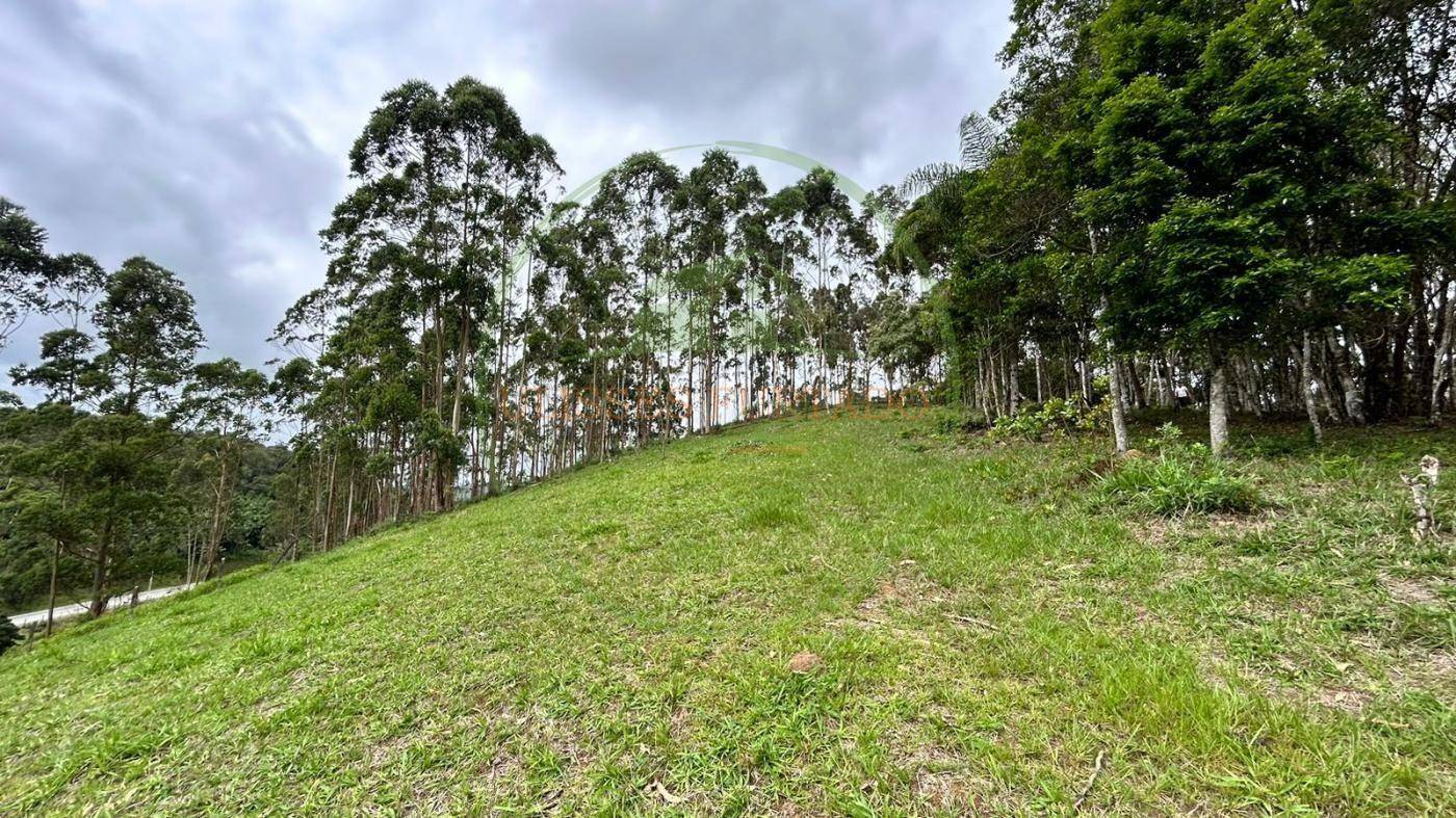 Terreno, 10000 m² - Foto 17