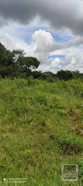 Fazenda à venda, 26790000M2 - Foto 18