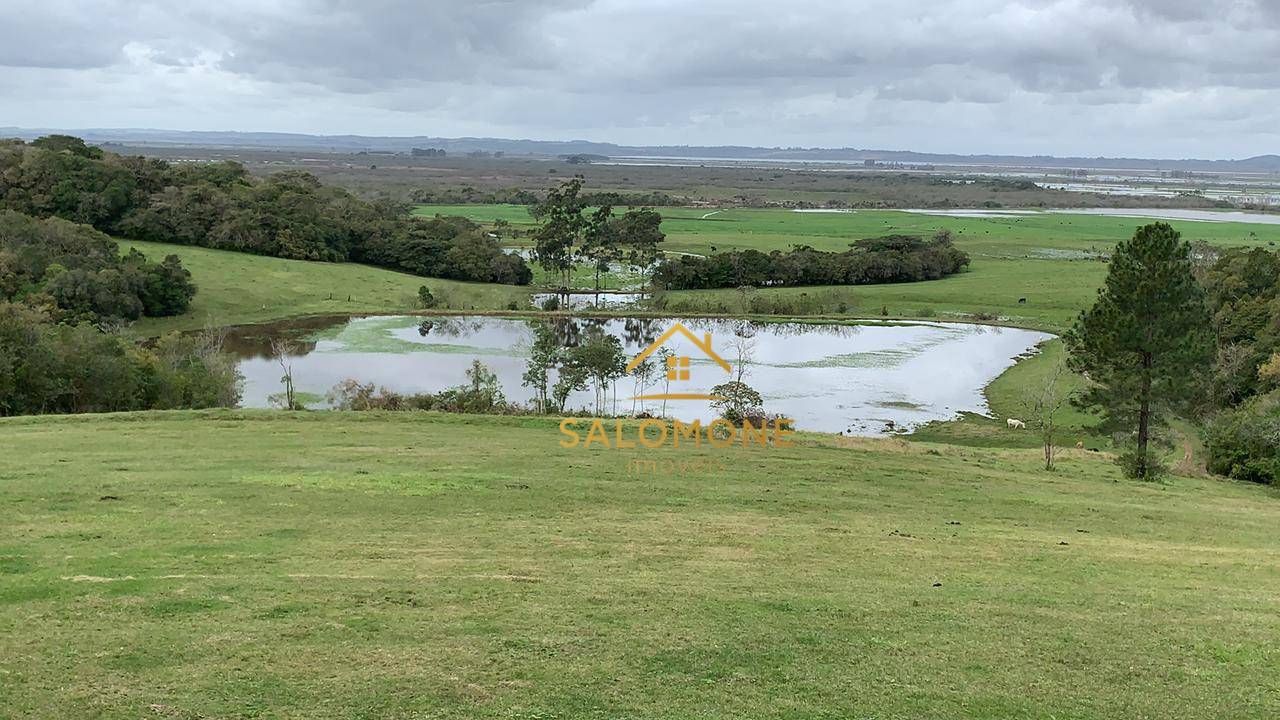 Sítio, 24 hectares - Foto 4