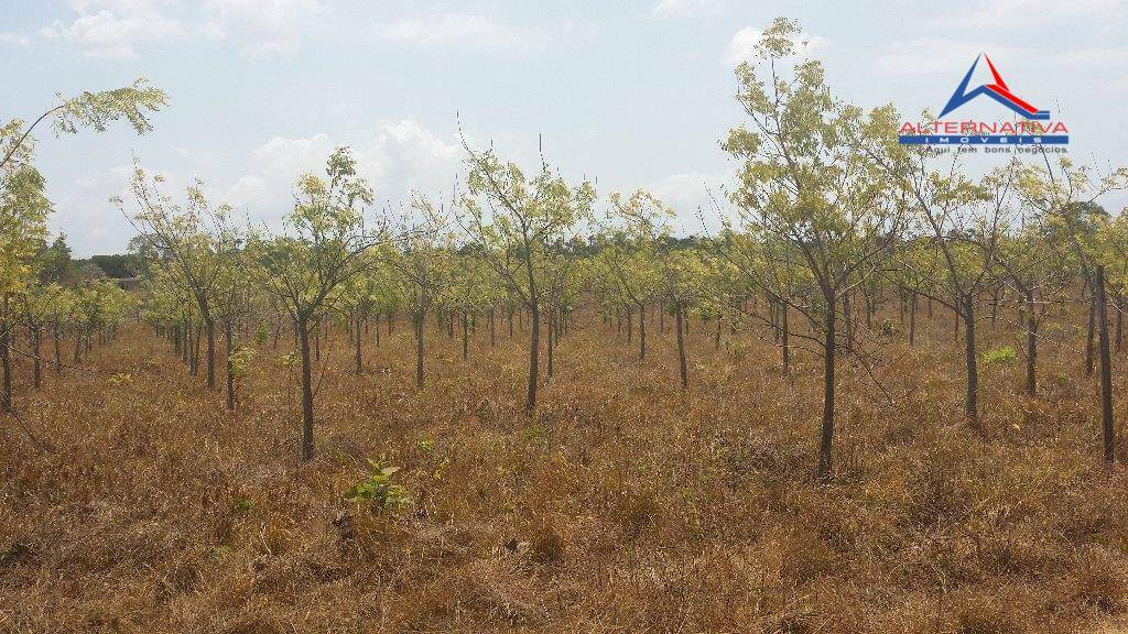 Terreno, 10 hectares - Foto 4