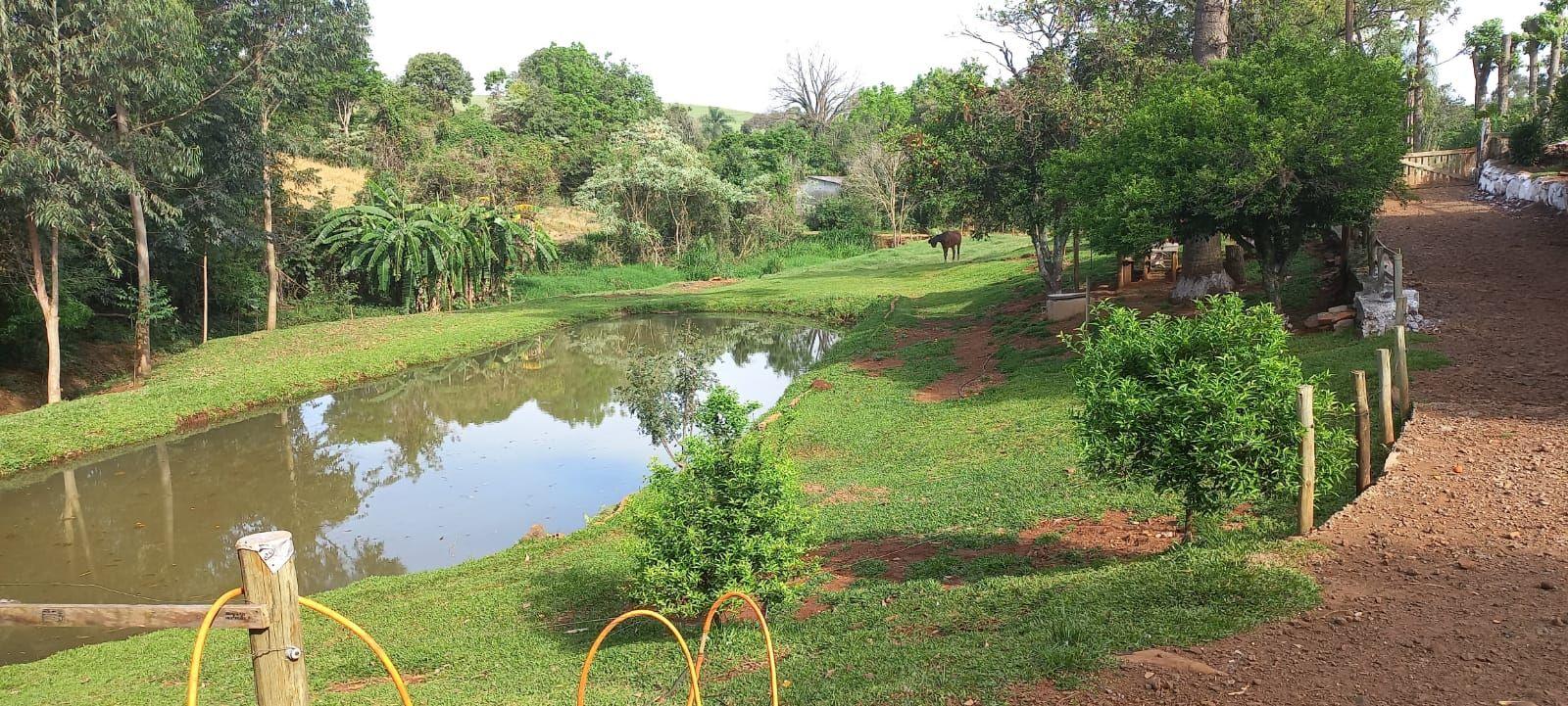 Fazenda à venda com 4 quartos, 12000m² - Foto 9