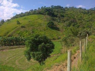 Fazenda à venda com 3 quartos, 33000m² - Foto 14