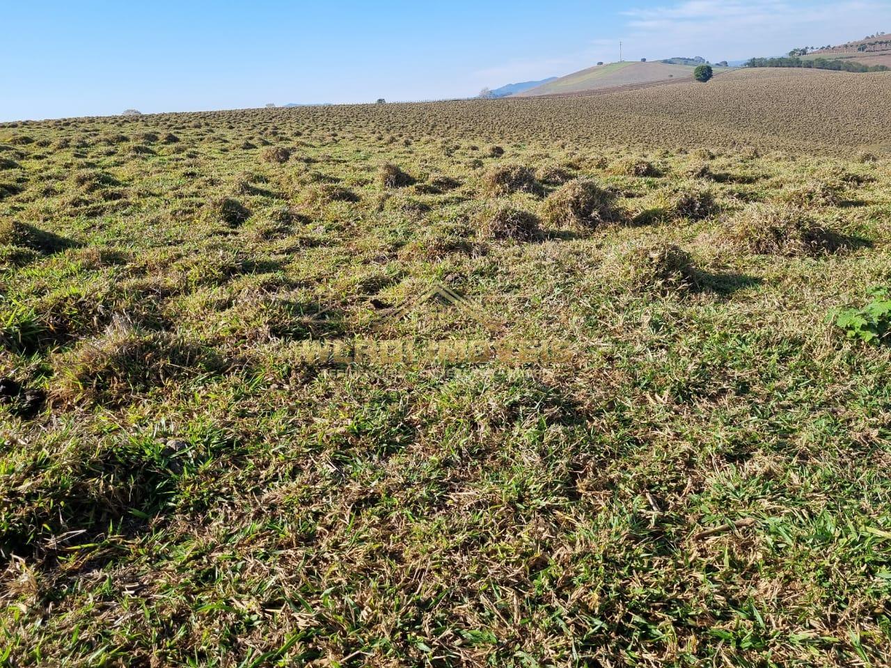 Fazenda à venda, 209m² - Foto 9