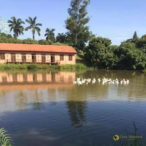 Loteamento e Condomínio à venda, 575M2 - Foto 8