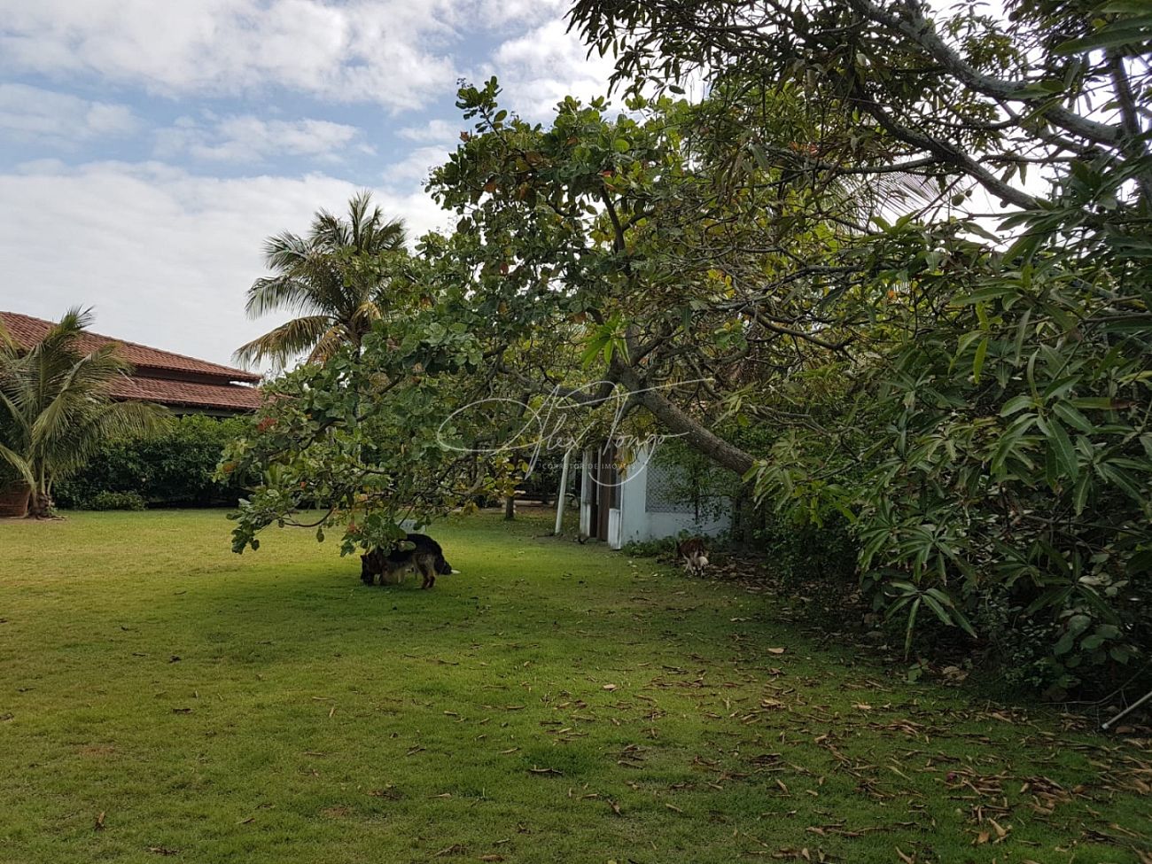 Casa à venda com 4 quartos, 420m² - Foto 3