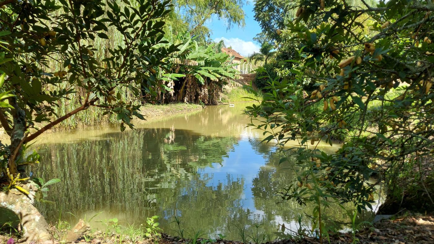Sítio à venda com 2 quartos, 37800m² - Foto 4