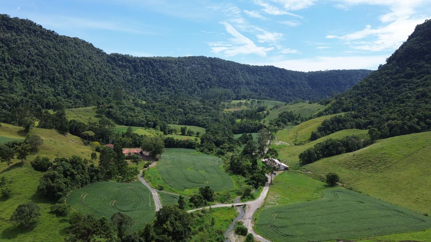 Fazenda à venda com 5 quartos, 450000m² - Foto 10