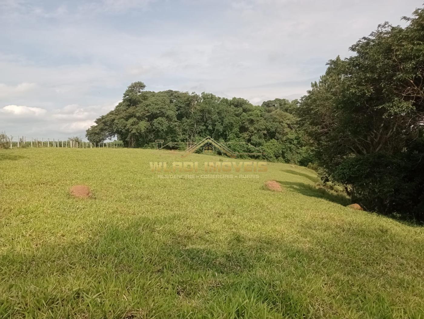 Fazenda à venda com 4 quartos, 7m² - Foto 21