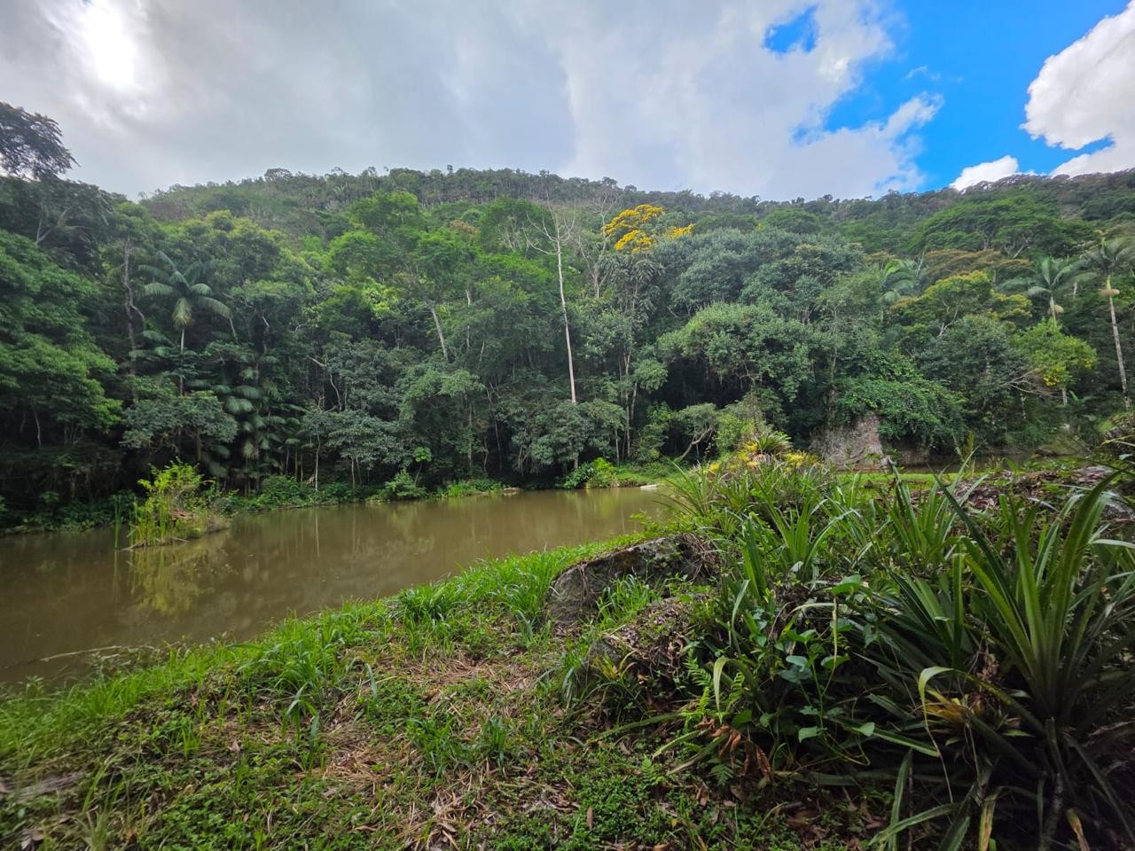 Fazenda à venda com 6 quartos, 183m² - Foto 13