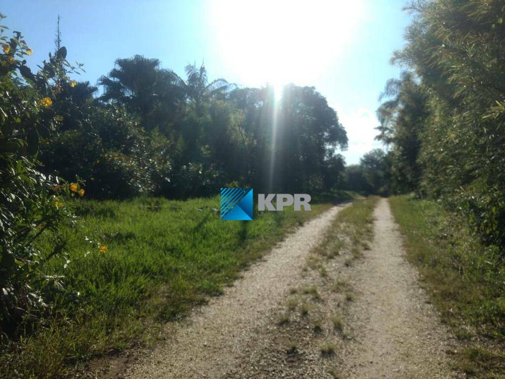 Chácara, 9 quartos, 4 hectares - Foto 2