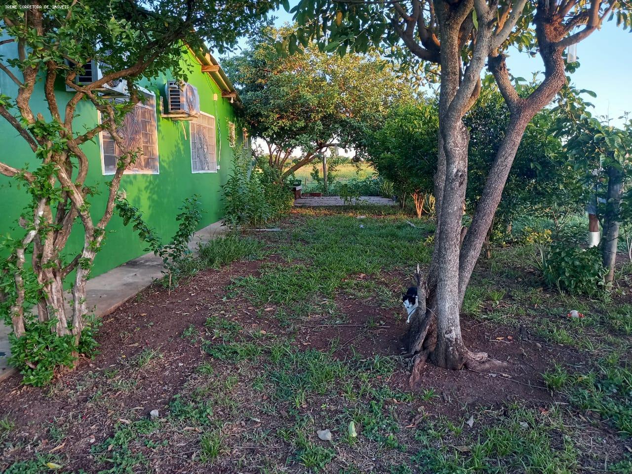 Fazenda à venda, 107000m² - Foto 8