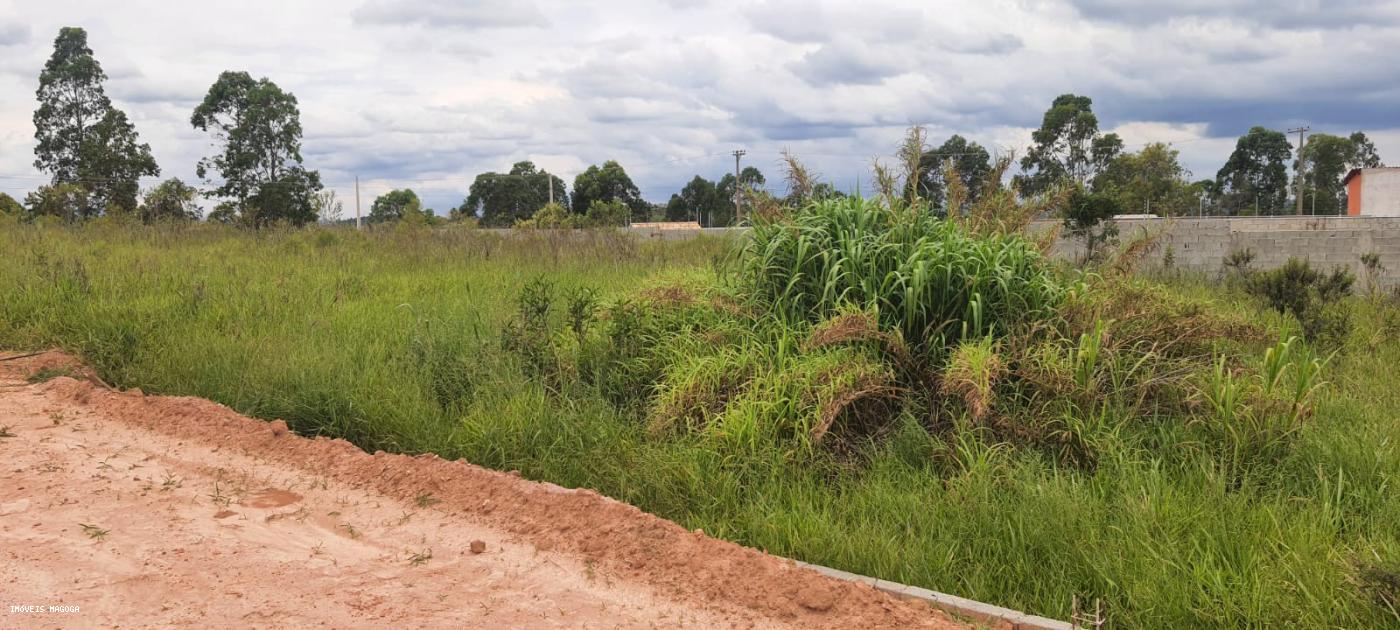 Fazenda à venda, 1000m² - Foto 6