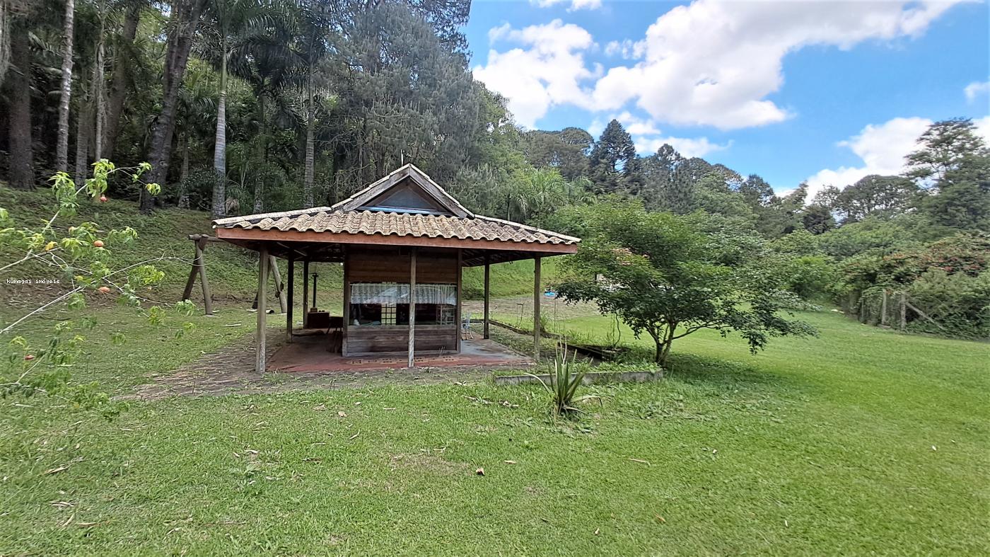 Fazenda à venda com 2 quartos, 10m² - Foto 22