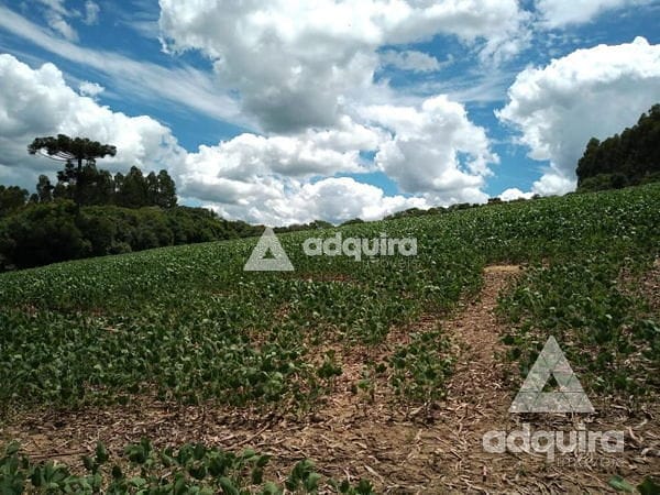 Fazenda-Sítio-Chácara, 2 hectares - Foto 1