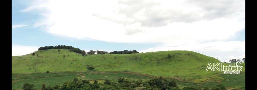 Fazenda à venda com 1 quarto, 2819300M2 - Foto 9