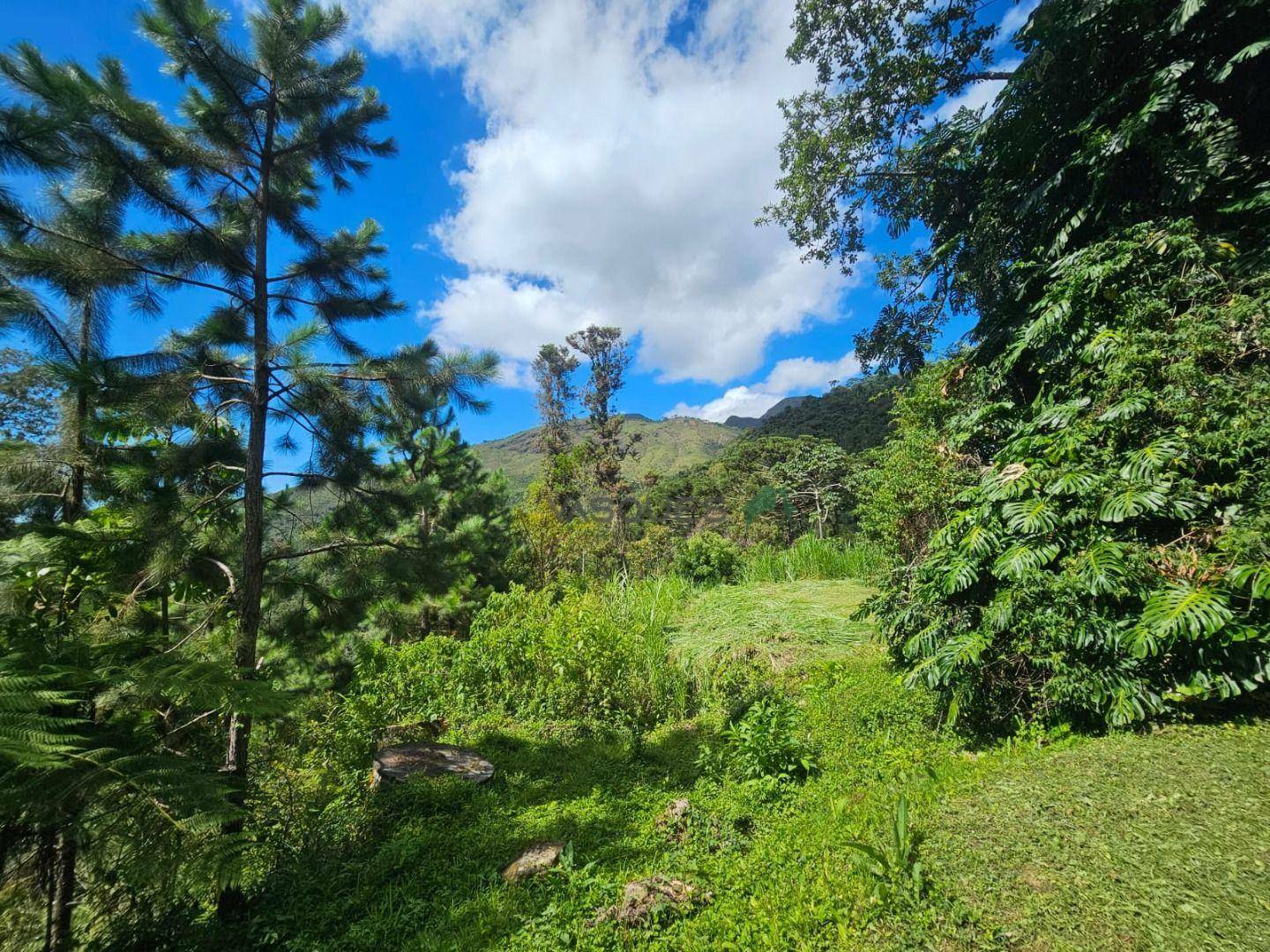 Sítio à venda, 31600M2 - Foto 24