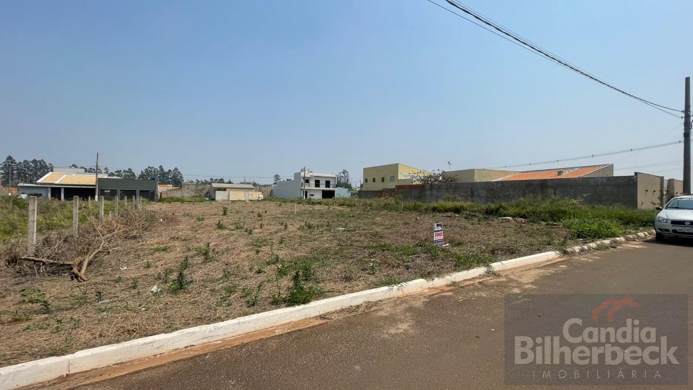 Terreno à venda, 250m² - Foto 1