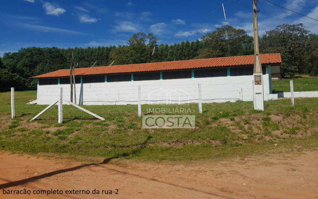 Sítio à venda com 4 quartos, 16600M2 - Foto 9