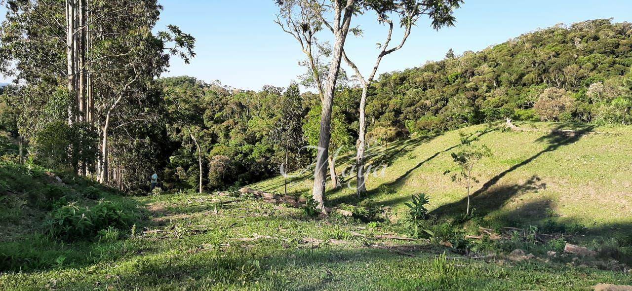 Terreno à venda, 140000M2 - Foto 5