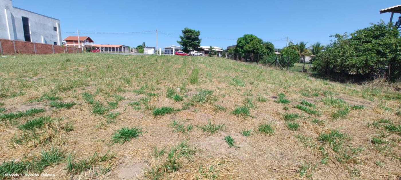 Terreno à venda, 1000m² - Foto 6