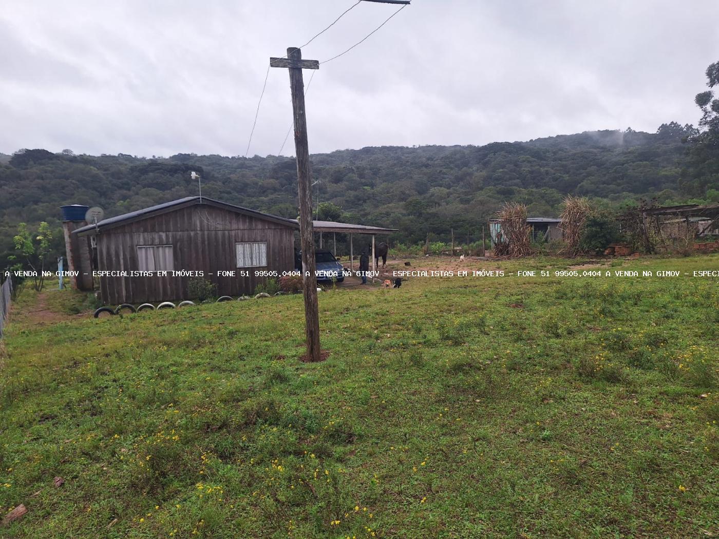 Fazenda à venda, 10000m² - Foto 1