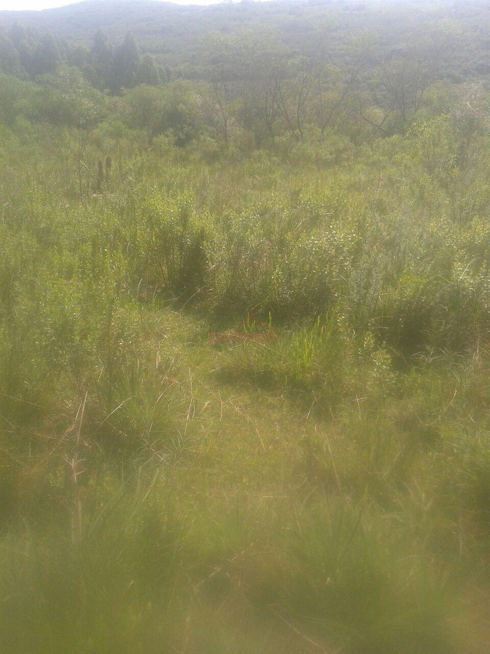 Fazenda-Sítio-Chácara - Foto 11