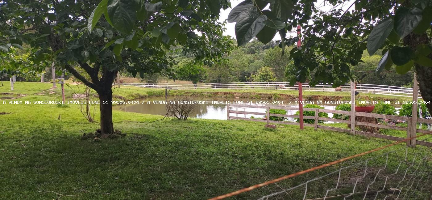 Fazenda à venda com 4 quartos, 130000m² - Foto 26