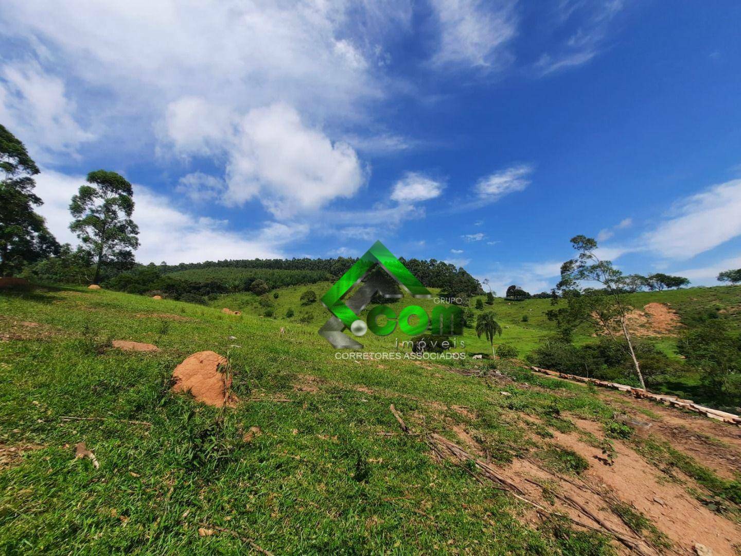 Terreno à venda, 20000M2 - Foto 4