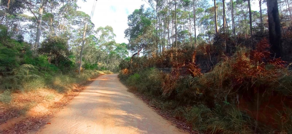 Fazenda à venda, 266200m² - Foto 12