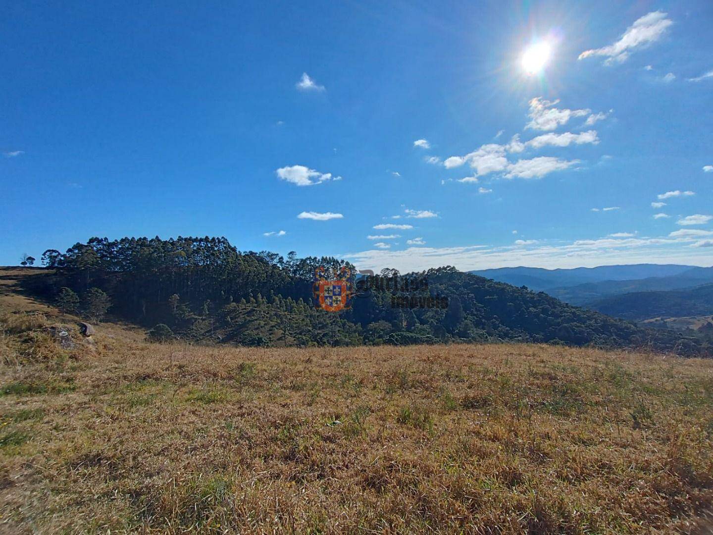 Terreno, 15 hectares - Foto 17