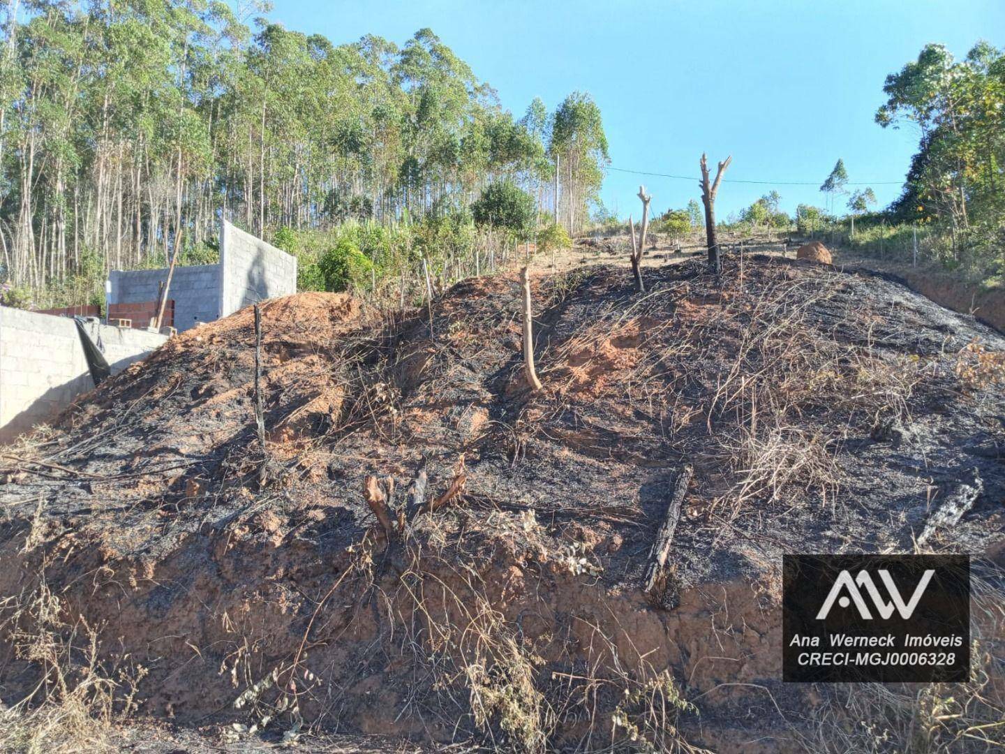 Chácara à venda com 1 quarto, 850M2 - Foto 11