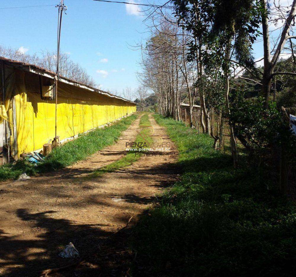 Terreno à venda, 70000M2 - Foto 6