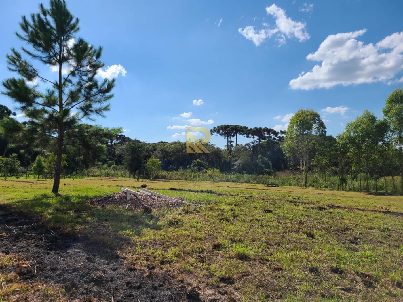 Terreno, 3500 m² - Foto 3