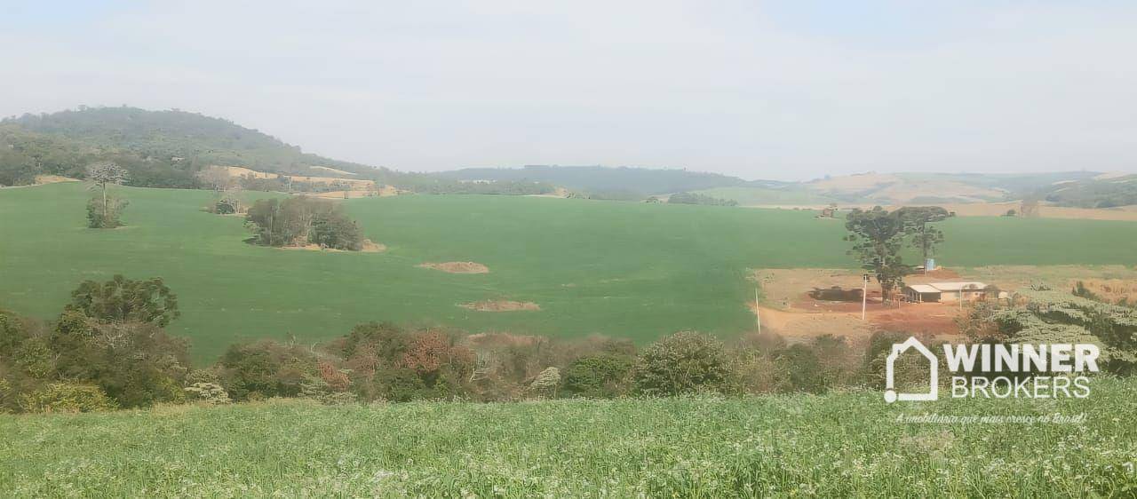 Fazenda, 15 hectares - Foto 4