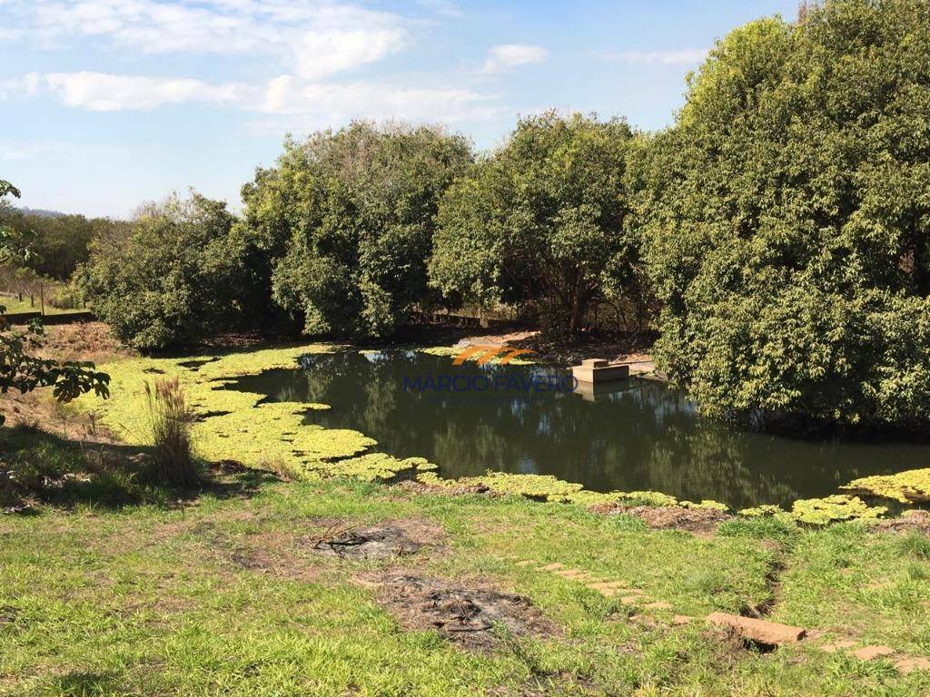 Haras e Área Rural Padrão à venda, 193600M2 - Foto 18